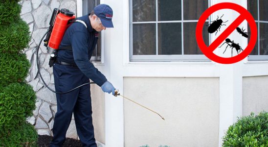 Çeşmealtı Dezenfeksiyon böcek ilaçlama ve haşere kontrolü — ilaclama-tr.com